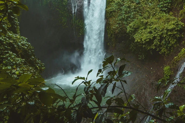 Bali